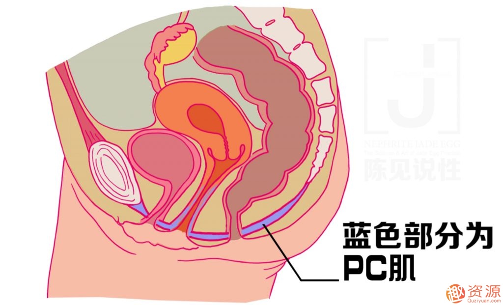 女性朋友怎么練習(xí)玉蛋功？玉蛋功鍛煉詳解插圖