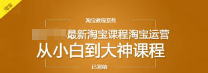 趣資料-從小白到大神，最新淘寶運(yùn)營(yíng)教程插圖