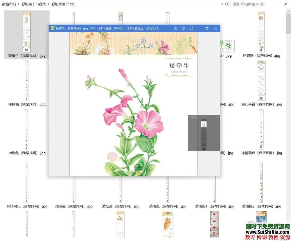 40G最強(qiáng)彩鉛零基礎(chǔ)入門到高手教學(xué)教程，包括大量電子書和繪畫視頻_趣資料視頻資源插圖6