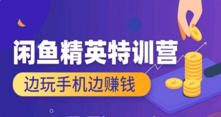 翼牛學(xué)堂：閑魚精英特訓(xùn)營進階班，邊玩手機邊賺錢價值4999元-百度云網(wǎng)盤教程視頻插圖