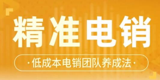 張搏《精準電銷》電話銷售技巧，低成本電銷團隊養(yǎng)成法_百度云網(wǎng)盤資源教程插圖