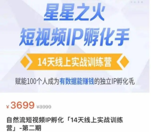 瑤瑤?自然流短視頻IP孵化第二期，成為有數據能賺錢的獨立IP孵化手百度網盤插圖