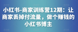 小紅書-商家訓練營12期：讓商家丟掉付流量，做賺錢小紅書博主百度網(wǎng)盤插圖