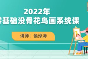 侯澤濤2022零基礎沒骨花鳥畫系統(tǒng)課百度網盤插圖