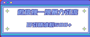 微信搜一搜引流全系列課程，日引精準(zhǔn)粉500+（8節(jié)課）百度網(wǎng)盤(pán)插圖