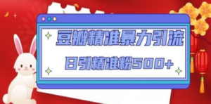 豆瓣精準(zhǔn)暴力引流，日引精準(zhǔn)粉500+【12課時(shí)】百度網(wǎng)盤插圖