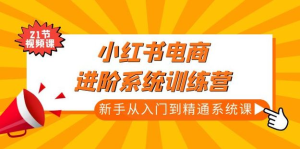 小紅書(shū)電商高階系統(tǒng)教程，新手從入門(mén)到精通系統(tǒng)課百度網(wǎng)盤(pán)插圖