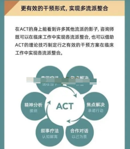 ACT療法實錄與訪談（創(chuàng)始人親授）百度網盤插圖