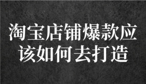 冠東?爆款店鋪淘系爆款選品方法，一個好選品思路決定是否盈利百度網(wǎng)盤插圖