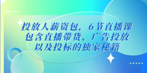 三里屯?投放人薪資包，6節(jié)直播課，直播帶貨、廣告投放獨家秘籍百度網(wǎng)盤插圖