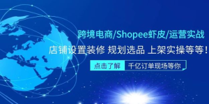 跨境電商Shopee蝦皮運(yùn)營實(shí)操直播課（10節(jié)系統(tǒng)課）百度網(wǎng)盤插圖