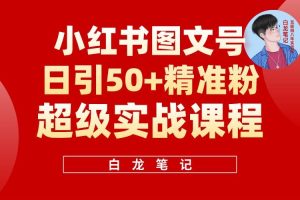 小紅書圖文號日引50+精準(zhǔn)流量，新手小白實(shí)戰(zhàn)的小紅書引流課百度網(wǎng)盤插圖