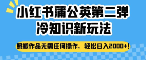 小紅書蒲公英冷知識新玩法，照搬作品賺錢副業(yè)百度網(wǎng)盤插圖