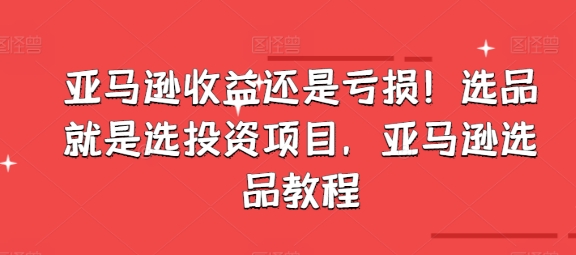 亞馬遜收益還是虧損！選品就是選投資項(xiàng)目，亞馬遜選品教程插圖