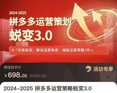 【電商上新】083.大力·2024-2025拼多多運(yùn)營策略蛻變3.0 0~1完美蛻變，解決信息焦慮