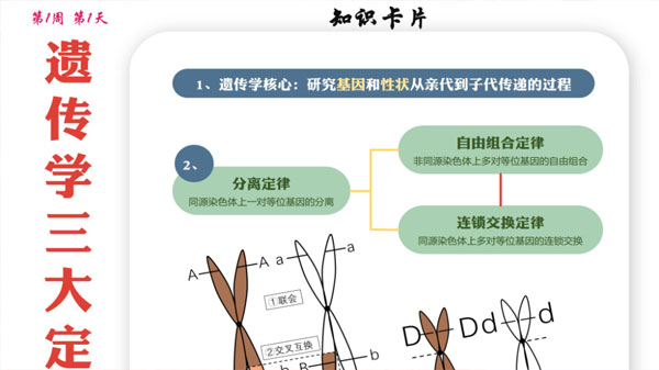 2024屆高考高三各科夢想點當鋪課件合集插圖