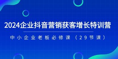 《企業(yè)抖音-營銷獲客增長特訓營》中小企業(yè)老板必修課插圖