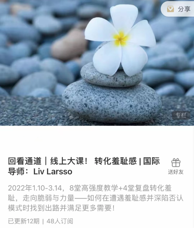 轉化羞恥感 _ 國際導師：Liv Larsso插圖