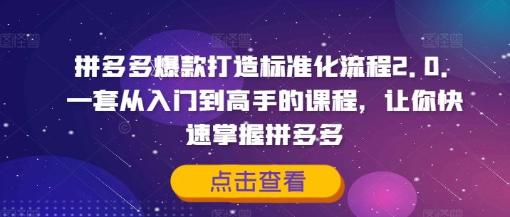 拼多多爆款打造標準化流程2.0，一套從入門到高手的課程，讓你快速掌握拼多多插圖