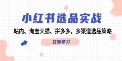 《小紅書選品實戰(zhàn)》站內(nèi)、淘寶天貓、拼多多，多渠道選品策略插圖