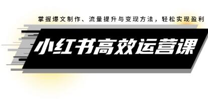 《小紅書高效運營課》掌握爆文制作、流量提升與變現(xiàn)方法，輕松實現(xiàn)盈利插圖