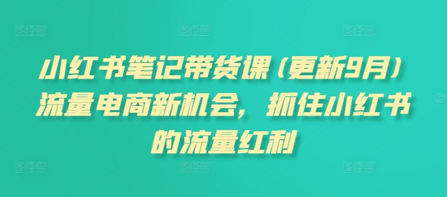 小紅書筆記帶貨課(更新9月)流量電商新機會，抓住小紅書的流量紅利插圖